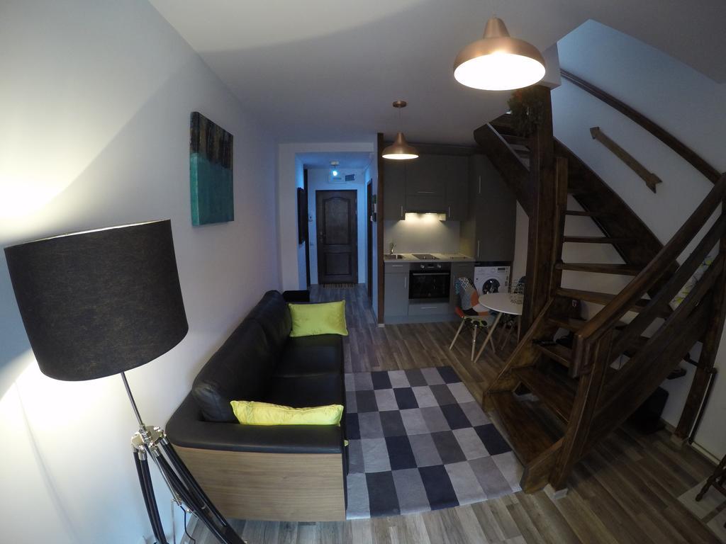 Duplex Apartment Buşteni エクステリア 写真