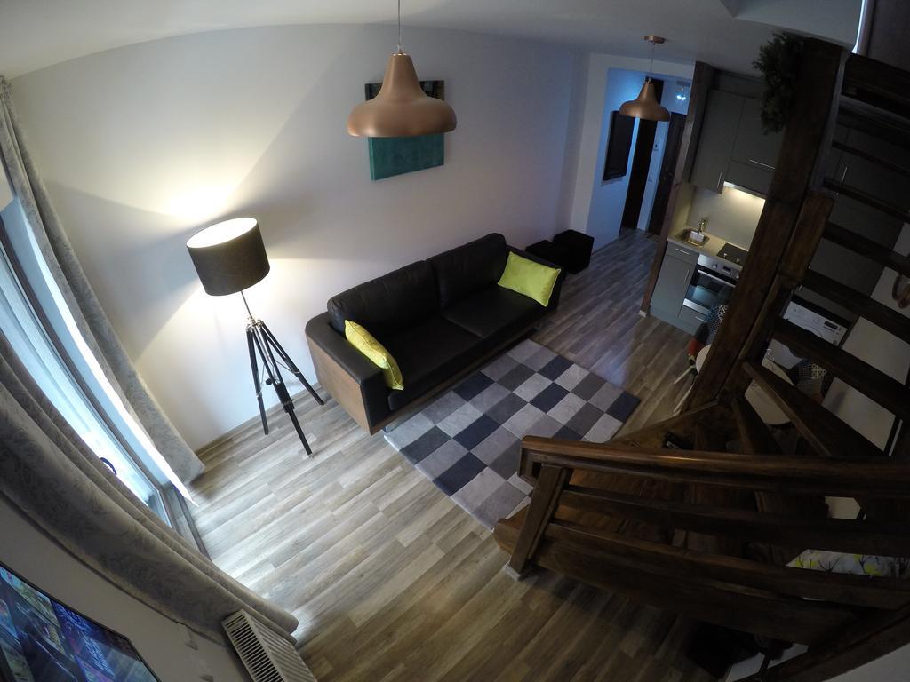 Duplex Apartment Buşteni エクステリア 写真