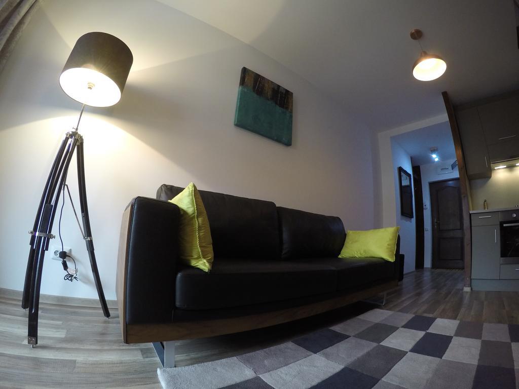 Duplex Apartment Buşteni エクステリア 写真