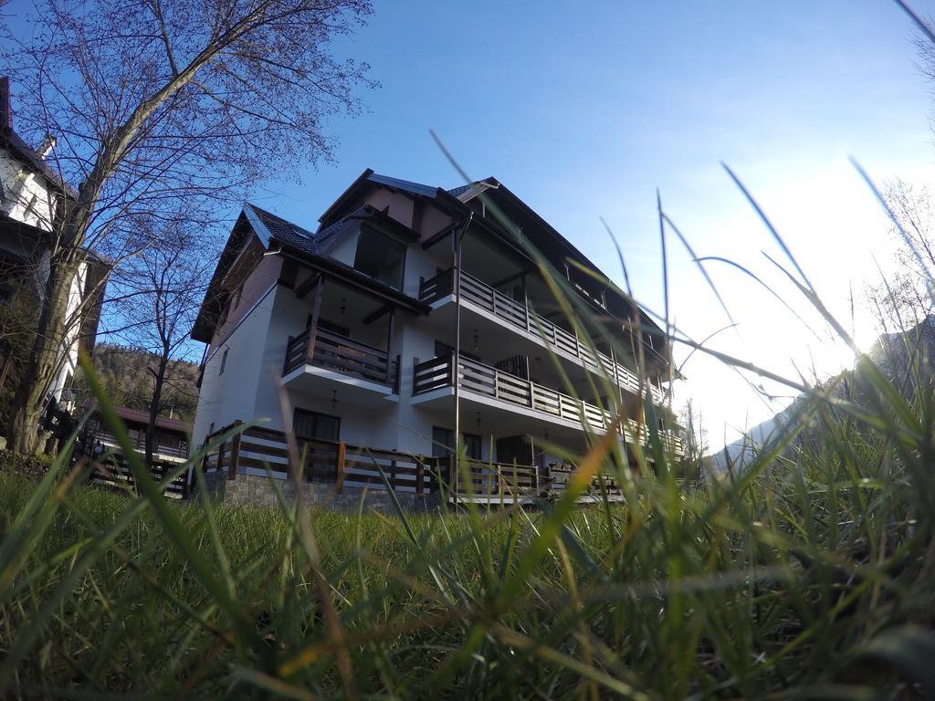 Duplex Apartment Buşteni エクステリア 写真